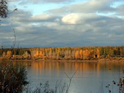 Как река изменяется в разные годы