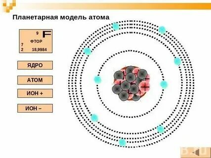Каков состав ядра фтора 19 9 f. Каков состав ядра фтора 19 9 f