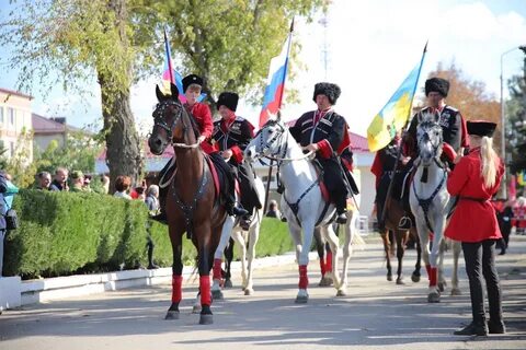 День староминской