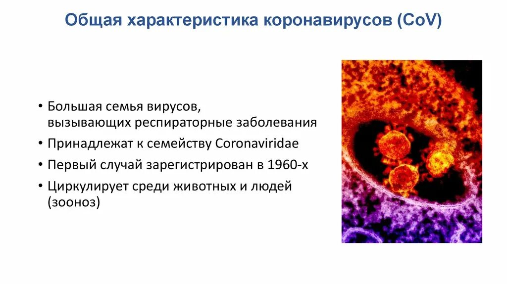 Короновирусная инфекция сегодня