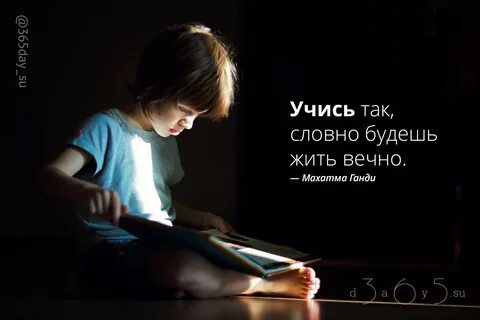 Дети учатся цитаты