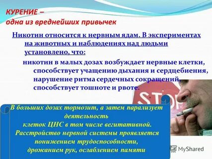 Курил 1 год