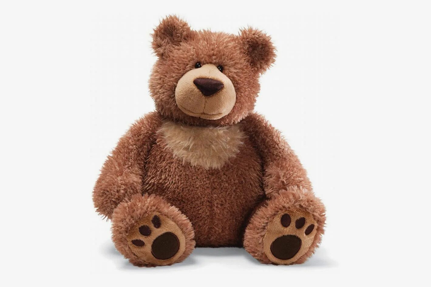 T is for teddy bear. This is a teddy bear. This is teddy. Картинки teddy bear day. My teddy.