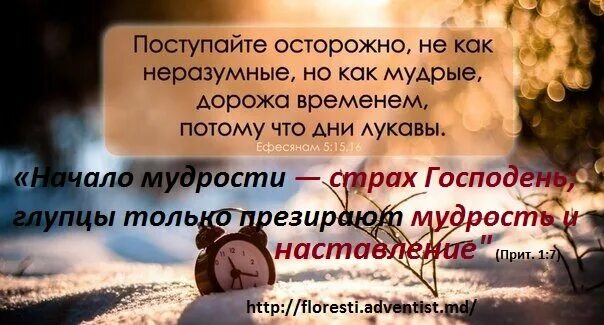 Страх Божий начало мудрости. Начало мудрости страх Господень. Дорожа временем ибо дни лукавы. Страх Господень ведет к жизни.