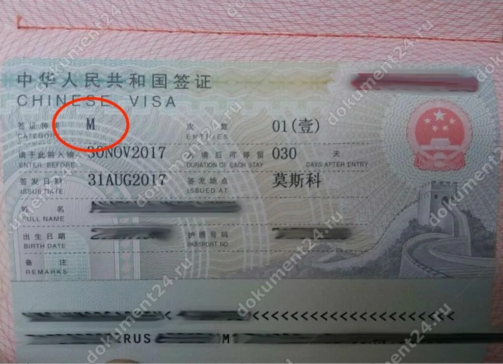 Китайская м 5. Деловая виза в китай. виза m китай. виза в китай 2025. китайская бизнес виза.