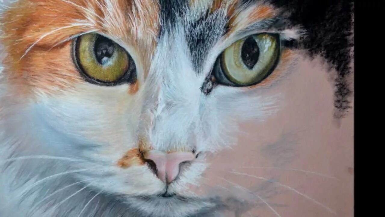 Кот масляными красками. Кошка пастелью. кот масляной пастелью. кот пастелью сухой. кошка масляными красками.