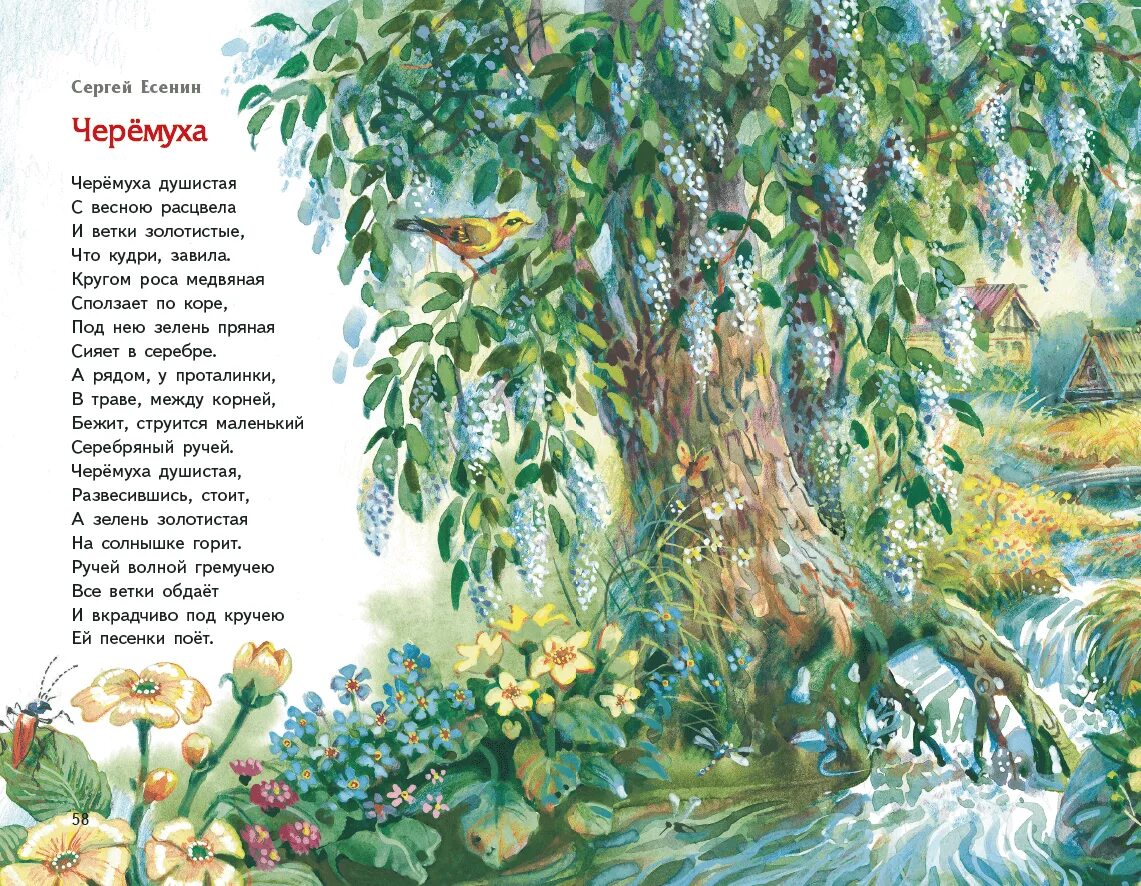 Стихотворения черемуха есенин 3 класс. Иллюстрация к стихотворению черемуха Есенина. Иллюстрация к стихотворению черемуха Есенина 3 класс. Илюстрация к стихотворению черёмуха. Илюстрацыя к Есенин черёмуха.