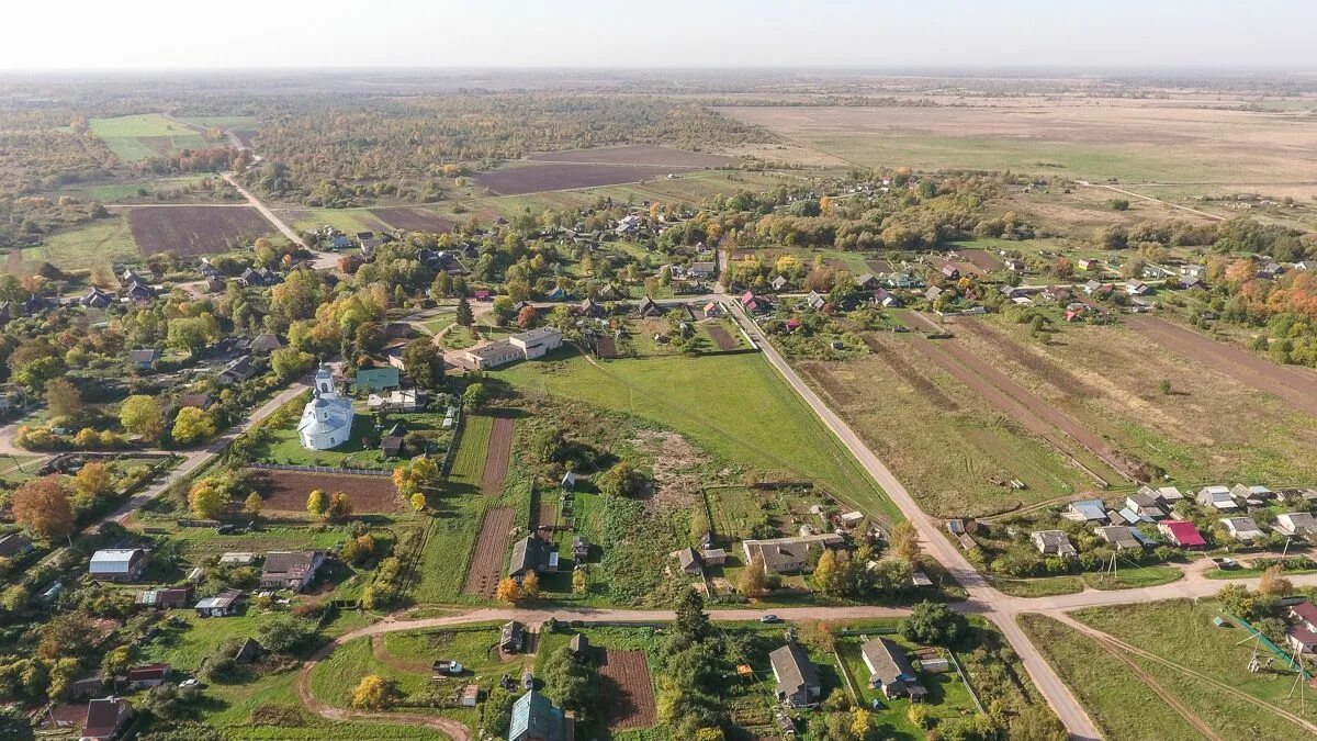 Поля новгородская область. Подгощи Новгородская область. Село Подгощи Шимский район. Село Подгощи Новгородской области. Новгородская обл., Шимский район, новоселье деревня.