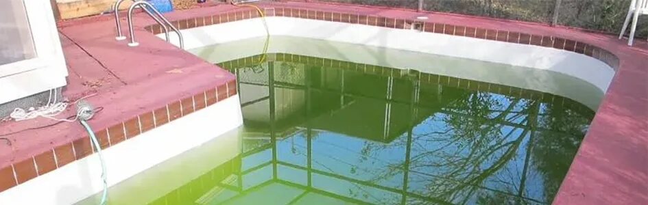 Бассейн чистые пруды. Гудок бассейн. цветет вода в бассейне. фото бассейна который зацвел дома. фото зацветшего бассейна.