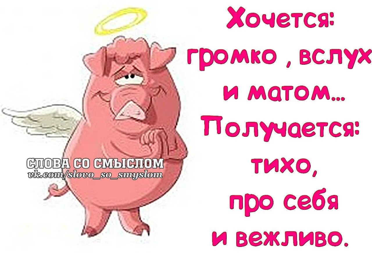 Слова со смыслом. Слова со смыслом смешные. Слова со смыслом приколы. Открытки слова со смыслом прикольные.