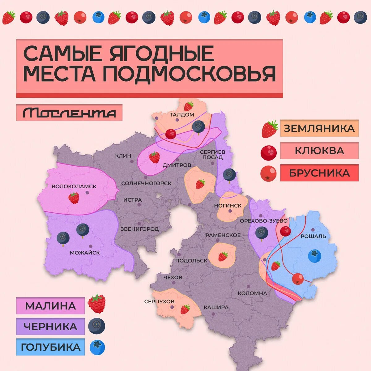 Сколько лет подмосковью в 2024. Ягодные места в подмосковье. Схема развития мцд москвы до 2025. Земля в подмосковье. Реконструкция школ в москве 2024 список.