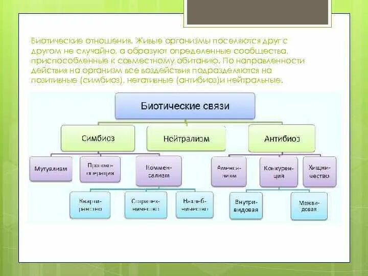 Корова человек тип биотических отношений. Типы биотических связей схема. Таблица биотических взаимот. Таблица биотических взаимоотношений. Биотические взаимоотношения организмов.