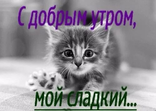 Сладкий привет CoffMachines.ru