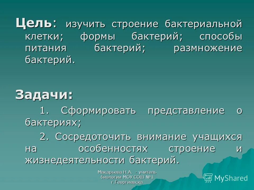 Исследовательский проект про бактерий Проект микробы в старшей группе