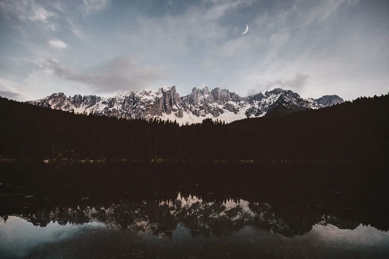 Эстетика природы. Качественная эстетика. Цветок на руку. Коллаж вдохновение. Растения эстетика.