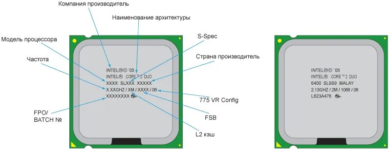 Буквы после процессора