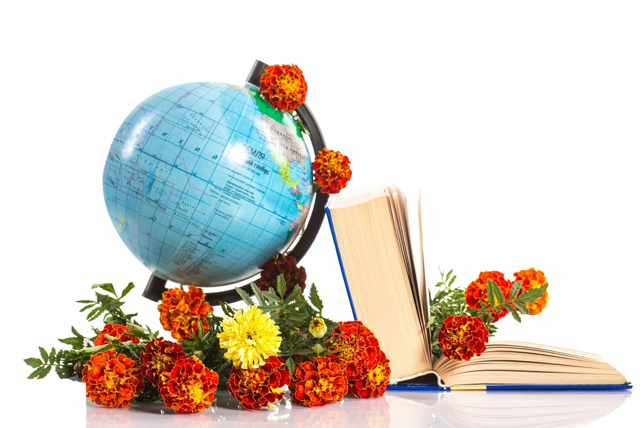 Бесплатные книги учителям