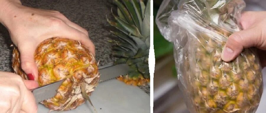 Недоспелый ананас. Ананас хранение. Как хранить ананас дома до нового года. Что будет если оставить ананас в багажнике зимой. Ананас в кадке.