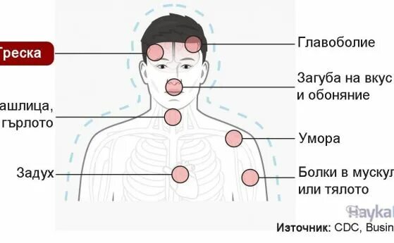 Первый симптомы ковида. Симптомы при короне. Признаки короны. Первые симптомы короны. Первые признаки короны вируса.