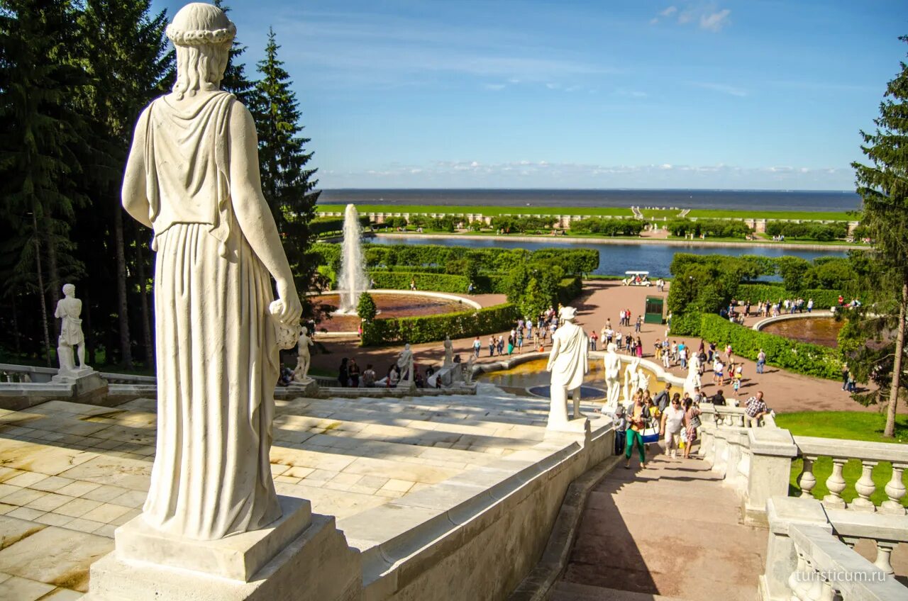 Петрович петергоф. Залив марли петергоф. петергоф петродворец сад бахуса. петергоф верхний парк финский залив. сергиевка петергоф вид на залив.
