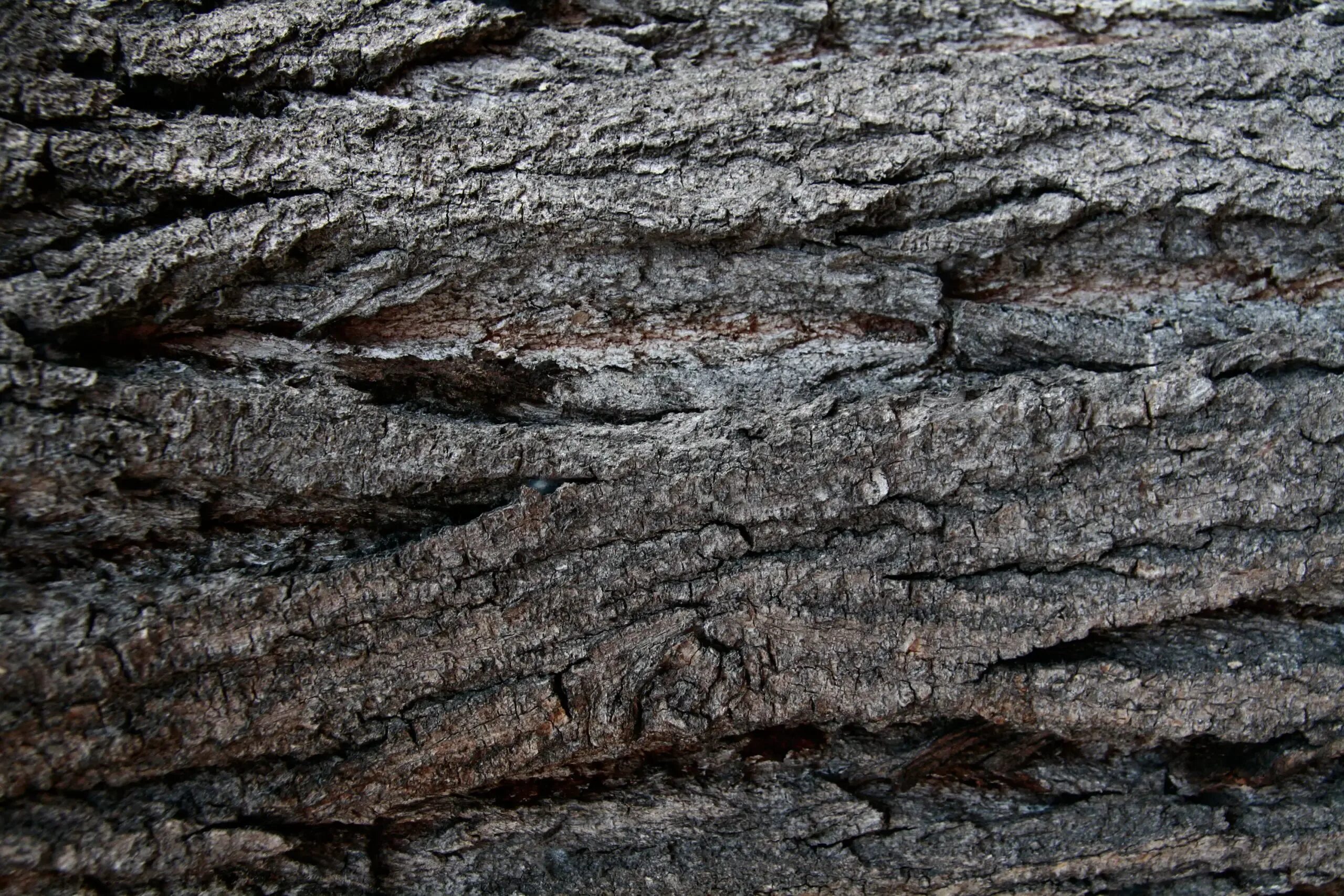 Texture quality