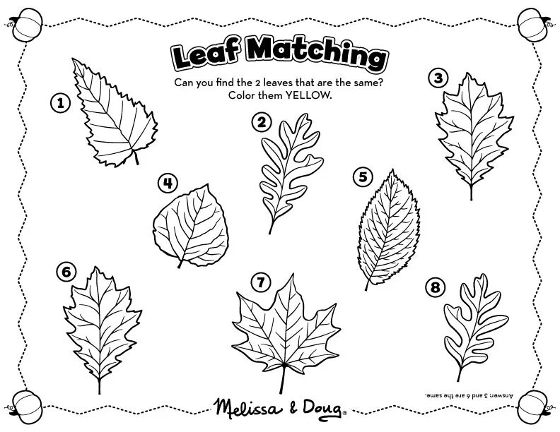 Match the leaves. Задание на осенние листья цвета. раскраска для дошкольников осень на англ. autumn leaves for kids. leaf раскраска for kids.