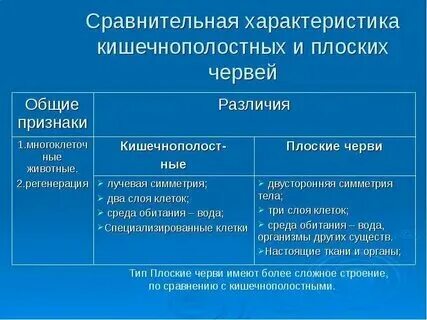 Чем кольчатые черви отличаются от круглых
