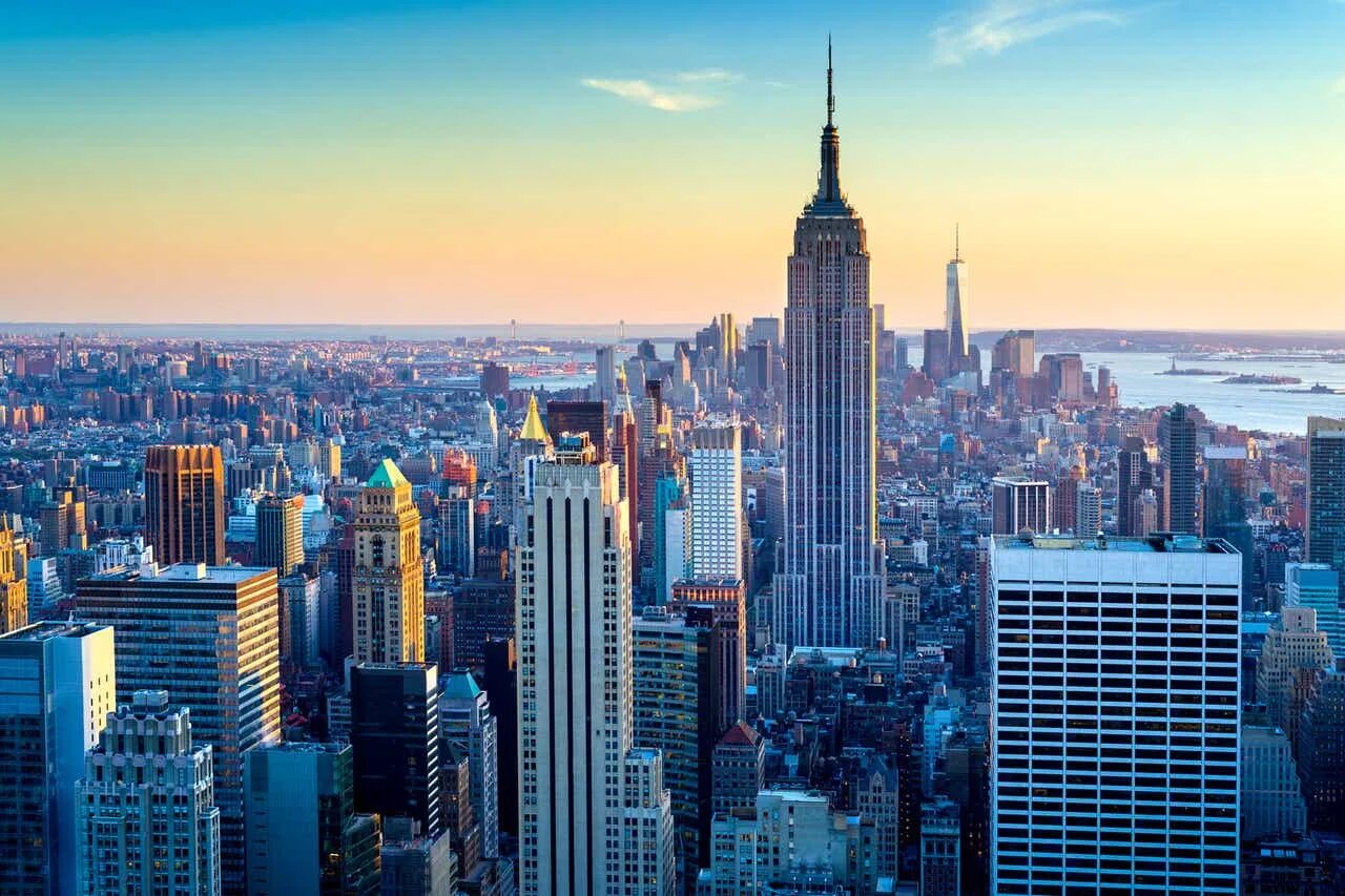 New york is the largest city