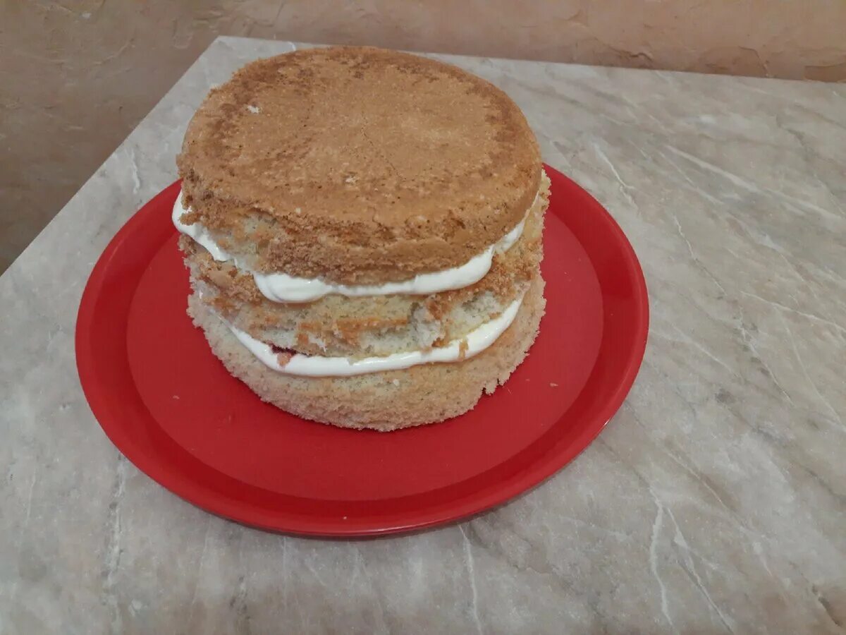 торт из магазинных бисквитных коржей. торт из магазинных бисквитных коржей. торт из магазинных коржей. торт из покупных бисквитных коржей. морковный бисквит для торта.