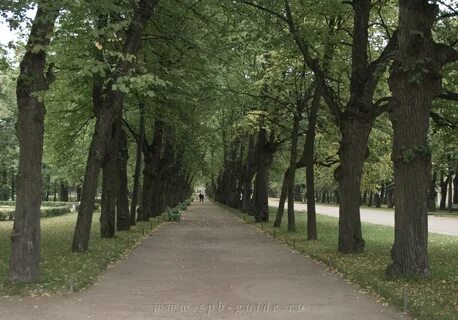 Липовая аллея санкт петербург