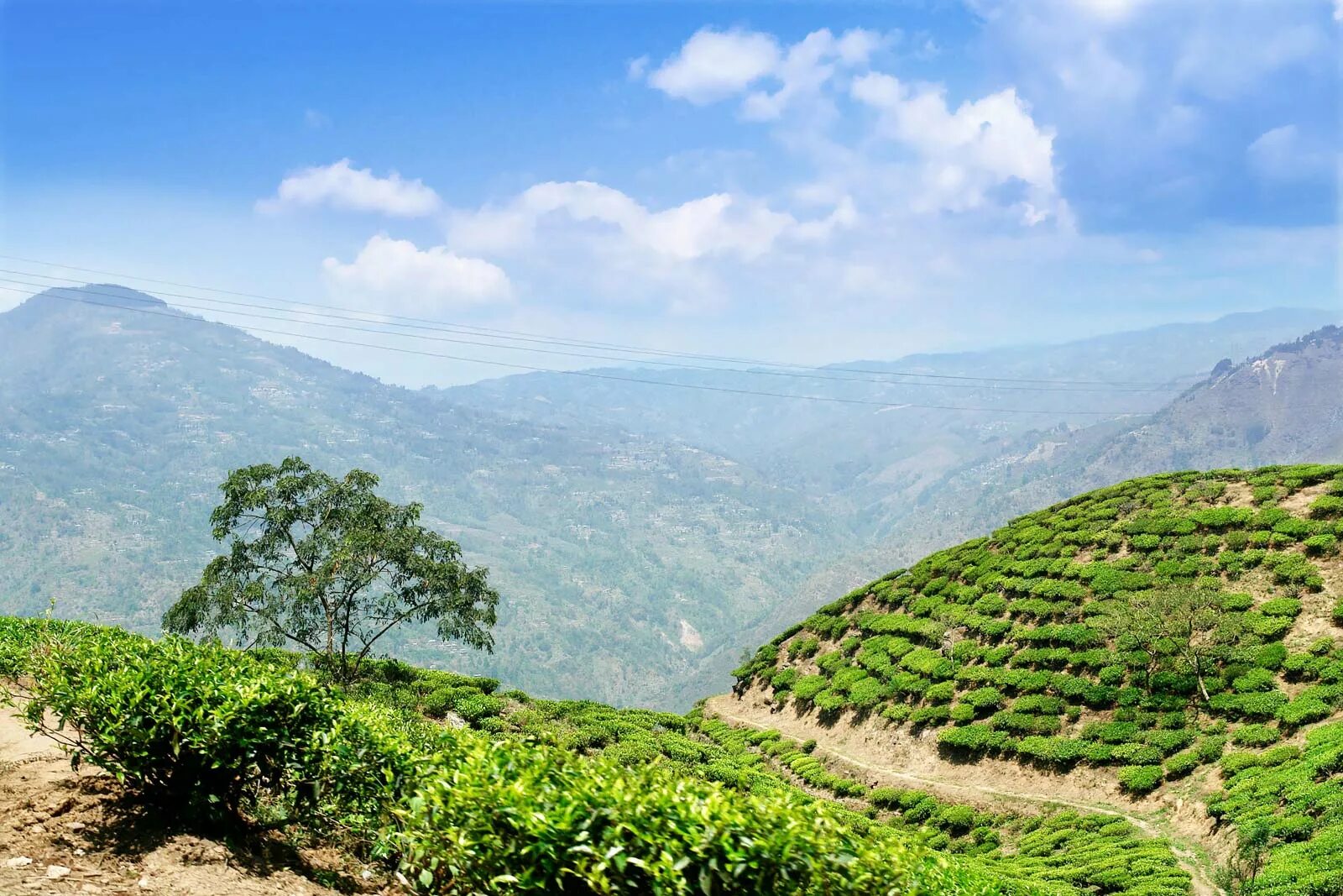 Java indonesia
