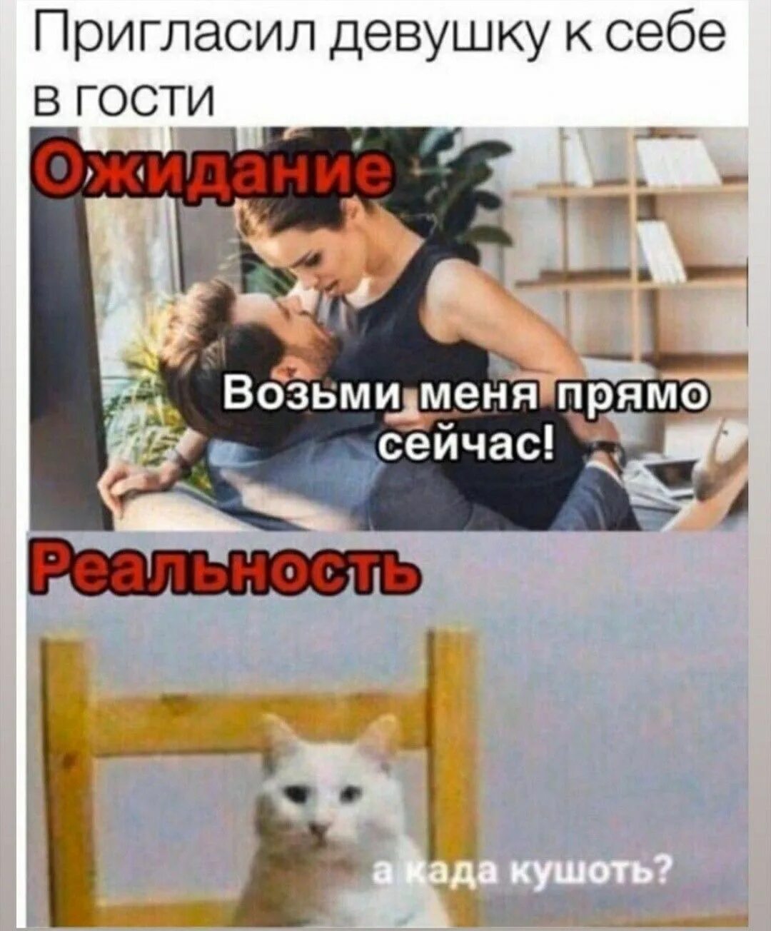 Парень пригласил девушку домой. Анекдот парень знакомится с девушкой. Парень позвал к себе домой. Парень пригласил девушку домой. Собака человек мем.