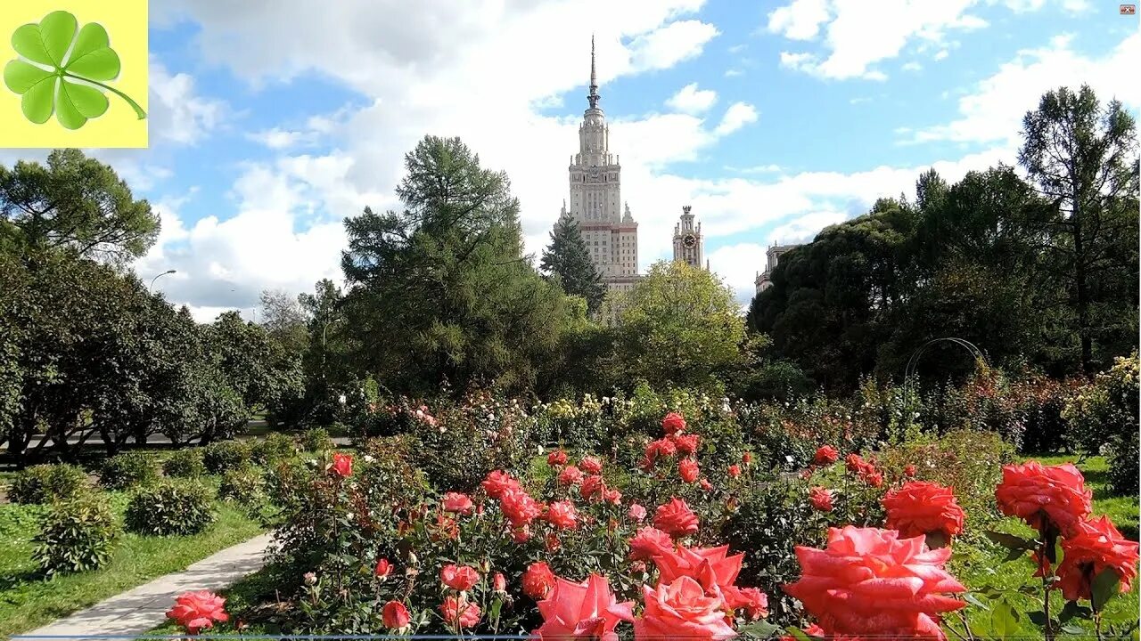 Ботанический сад мгу москва видео. Ботанический сад МГУ Воробьевы горы. Ботанический сад МГУ имени м. в. Ломоносова «Аптекарский огород». Сад МГУ на Воробьевых горах. Ботанический парк МГУ на Воробьевых горах.