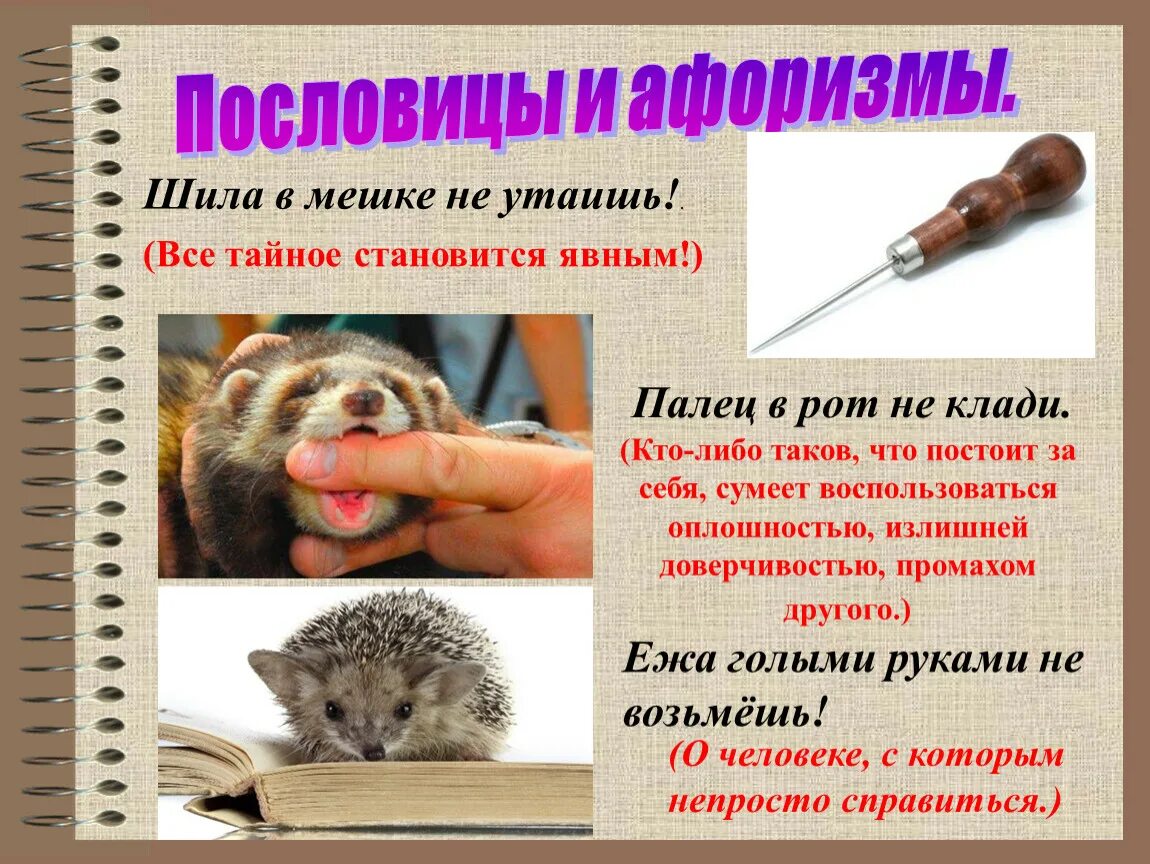Шило в мешке читать. Шило в мешке читать