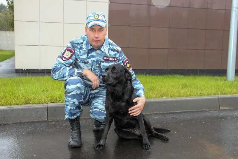 День образования кинологической службы мвд. Бродников евгений николаевич кинолог. Пермский институт фсин собаководы. Евгений большаков нижний новгород кинолог. Кинолог в новгород.