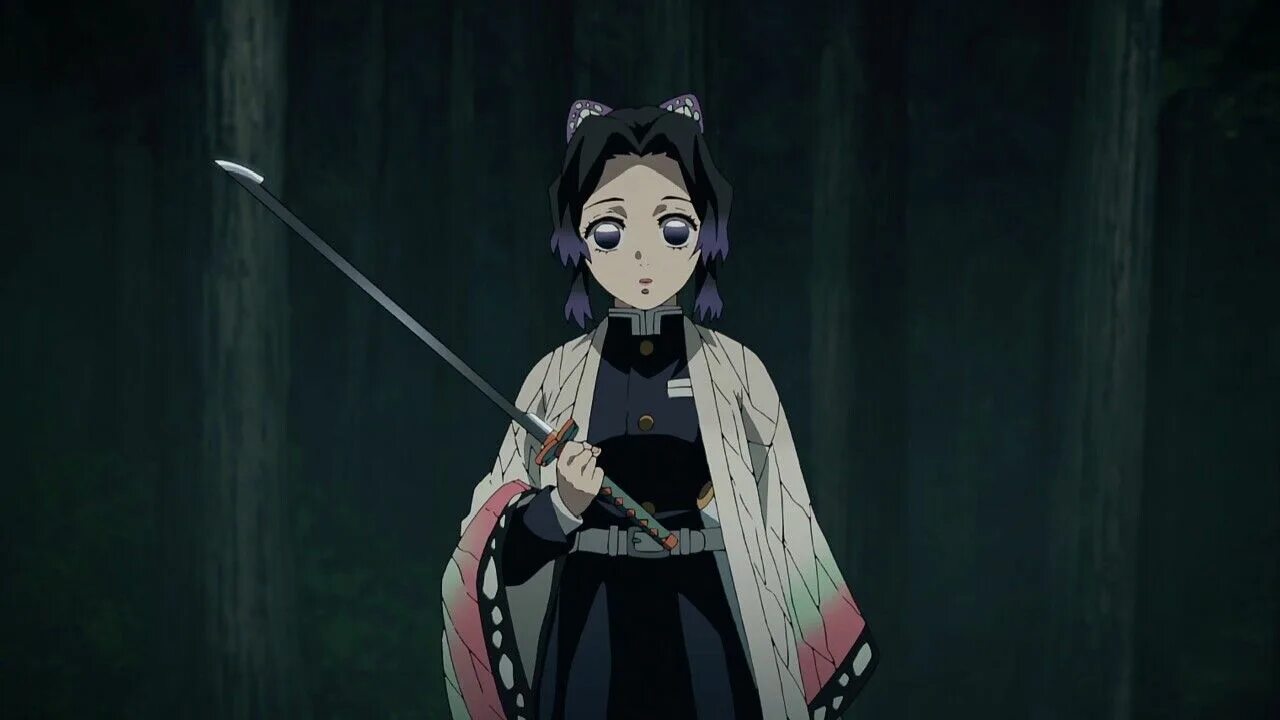 Demon slayer kimetsu no yaiba hashira training. Синобу клинок рассекающий демонов. Клинок рассекающий демонов Шинобу Кочо. Столпы клинок рассекающий демонов Шинобу.