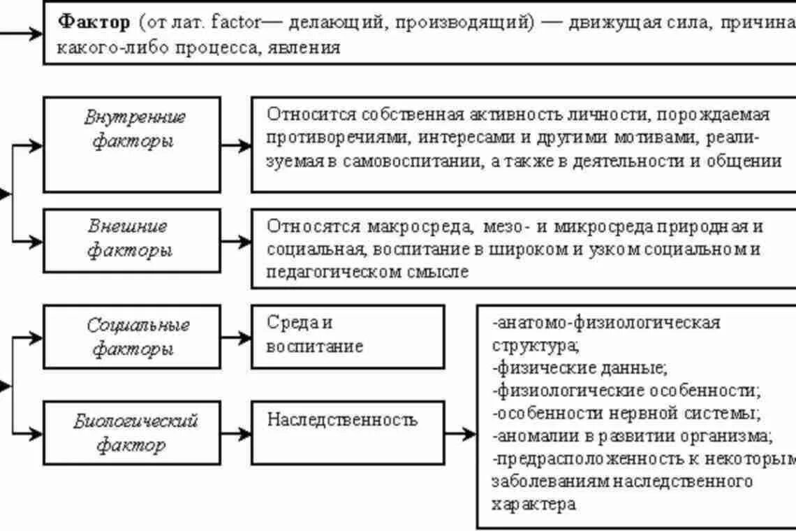 Классификация факторов влияющих на развитие личности. Факторы развития личности в педагогике схема. Факторы оказывающие влияние на развитие личности. Факторы оказывающие влияние на развитие личности в педагогике. Факторы определяющие личность человека