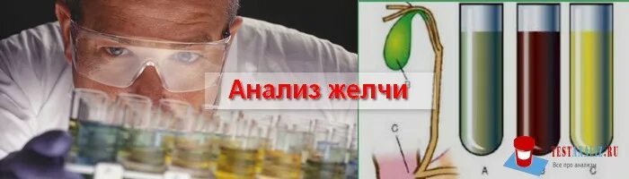 Бактериологическое исследование желчи. Биохимическое исследование желчи. Анализ желчи. Лабораторное исследование желчи.