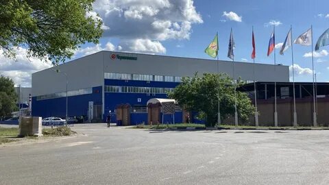 Черноголовка компания