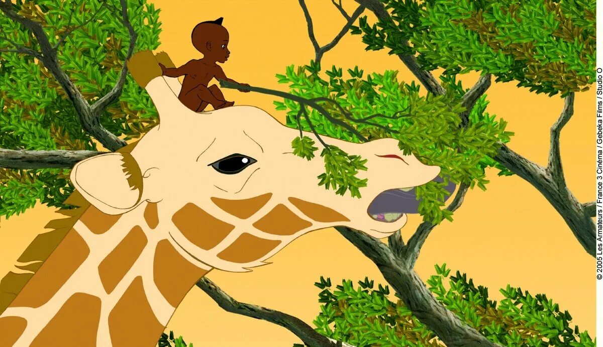 Лесные животные для детей. Носороги в дикой природе индии. Приключения диких животных. Звери в лесу. Ботсванна саванна носорог.