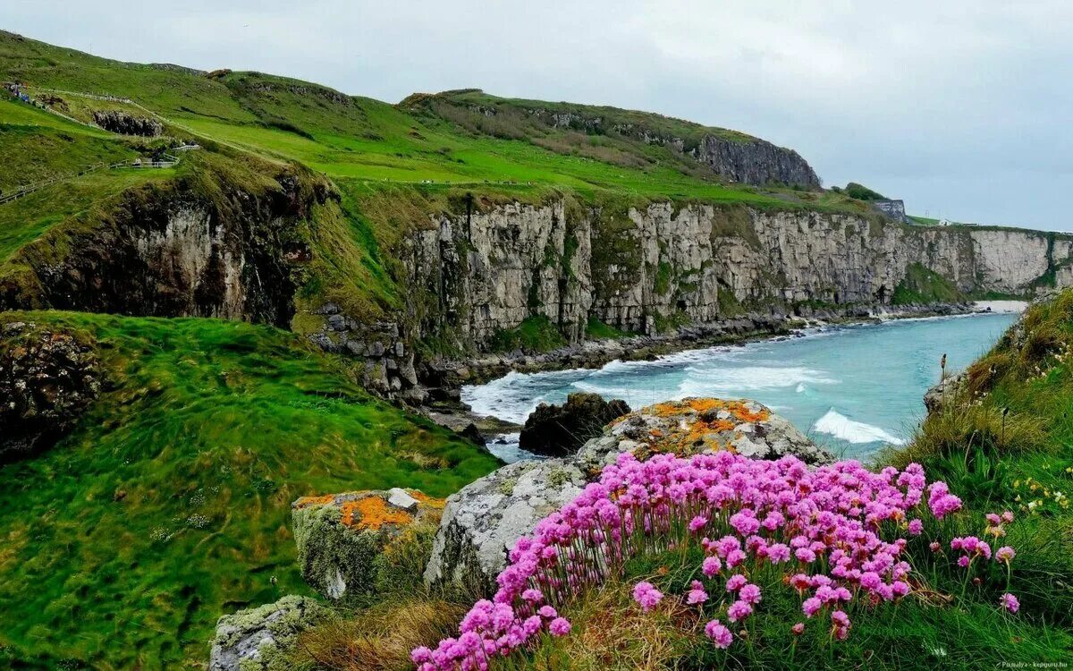 Ireland area. Северная Ирландия изумрудный остров. Графство Клэр Ирландия. Плато Антрим Ирландия. Ущелье Антрим Ирландия.