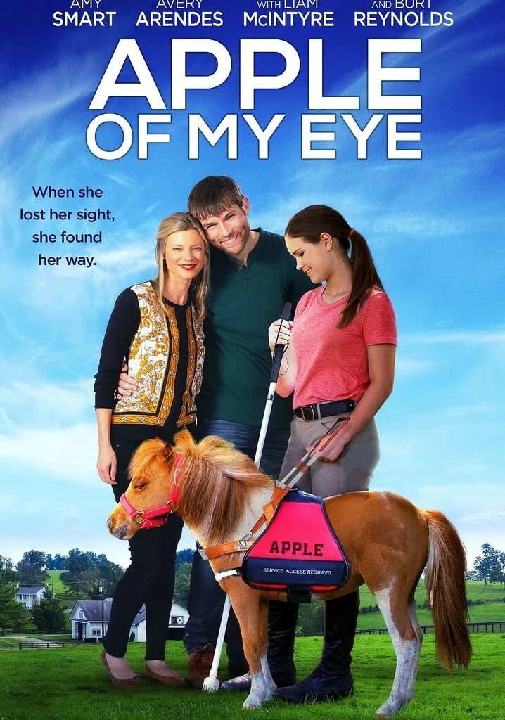She was lost. Apple of my Eye фильм 2016. Зеница Ока фильм. Семейные фильмы 2016-2017. Зеница Ока (1976).