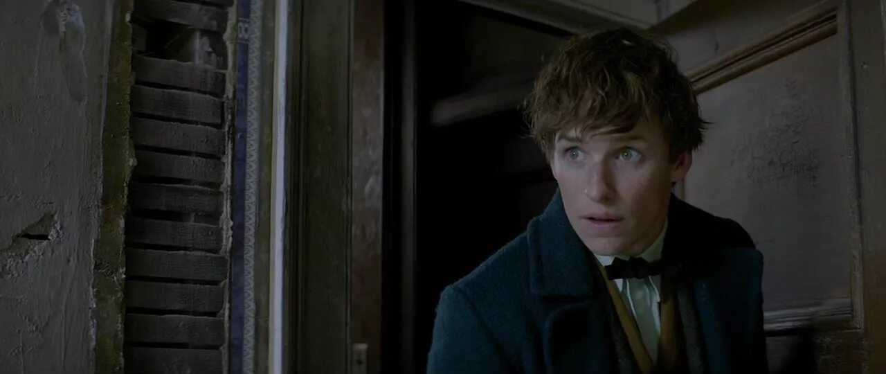 Нюхль фантастические твари. Please find them. Please find them. Ньют саламандер. Шон эванс фантастические твари.