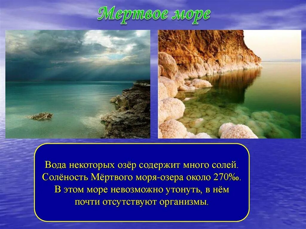 Почему некоторые озера. Солëнасть мëртвого моря. Соленость мертвого моря. Мёртвое море саленость. Солёность мёртвого мор.