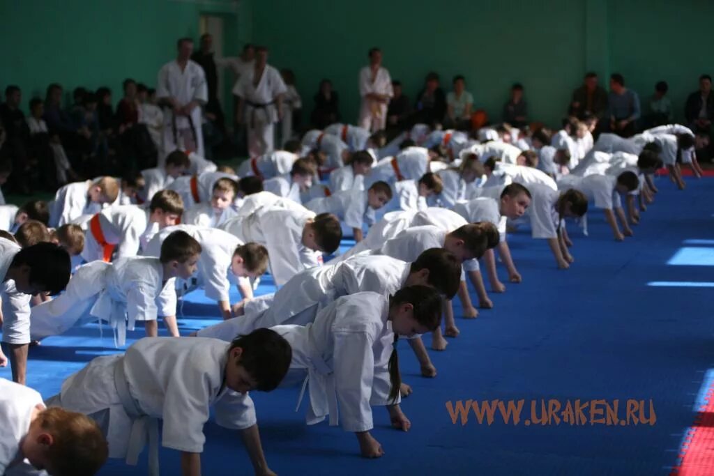 5 кю каратэ киокушинкай. Карате набивка по паровоз. Каратэ киокусинкай кю тест. Каратэ киокусинкай кю тест. Кю тест каратэ.