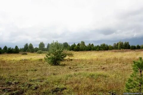 Земельные участки рязанская область