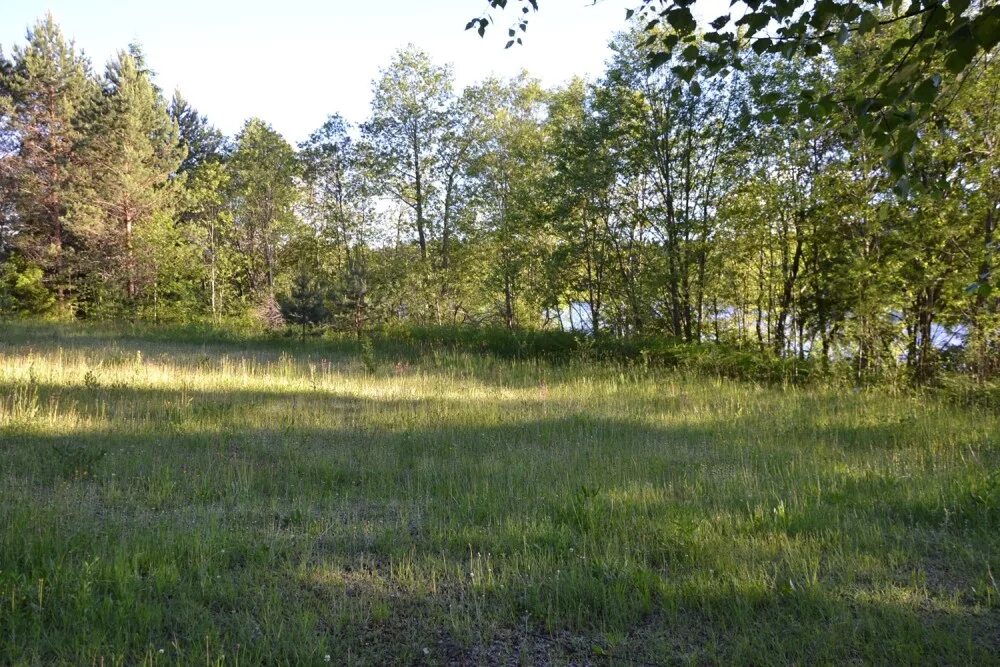 Участок 30 соток. Посёлок никитино можайский район. Клинская область поселок раздольевское. Участок земли 30 40. Участок село ивановское ступинский район.