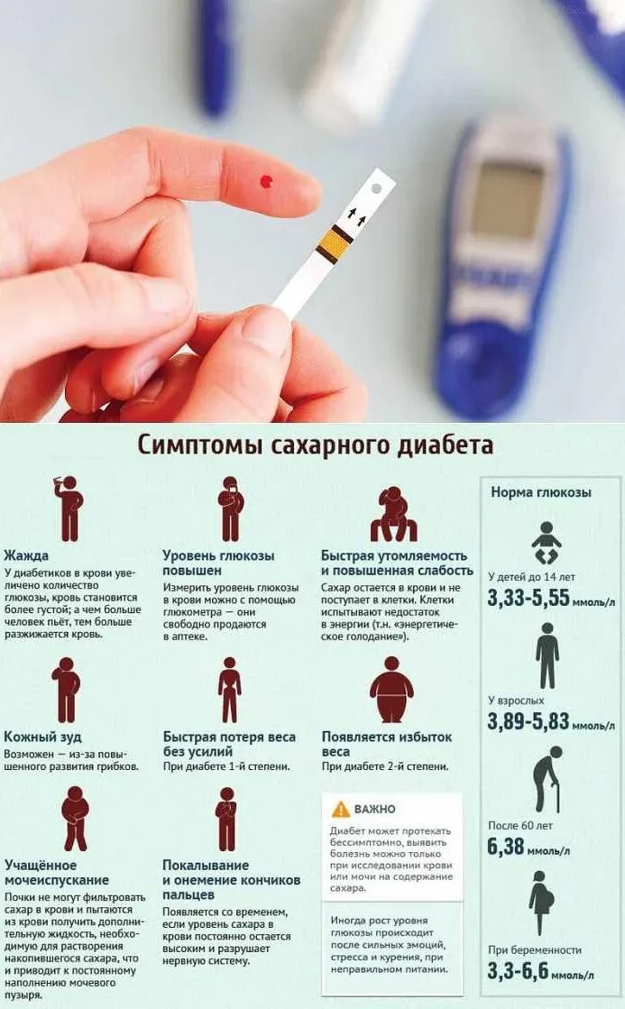 Как определить есть ли сахар. Сахарный диабет диабет симптомы. симптомы при повышенном сахарном диабете. сахарный диабет признаки норма. сахарный диабет 1 типа показатели сахара в крови.