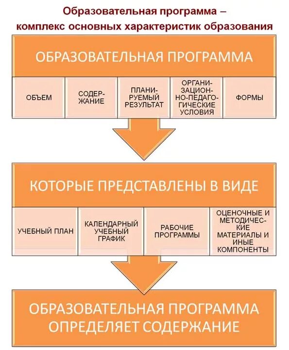 Образовательные программы бывают