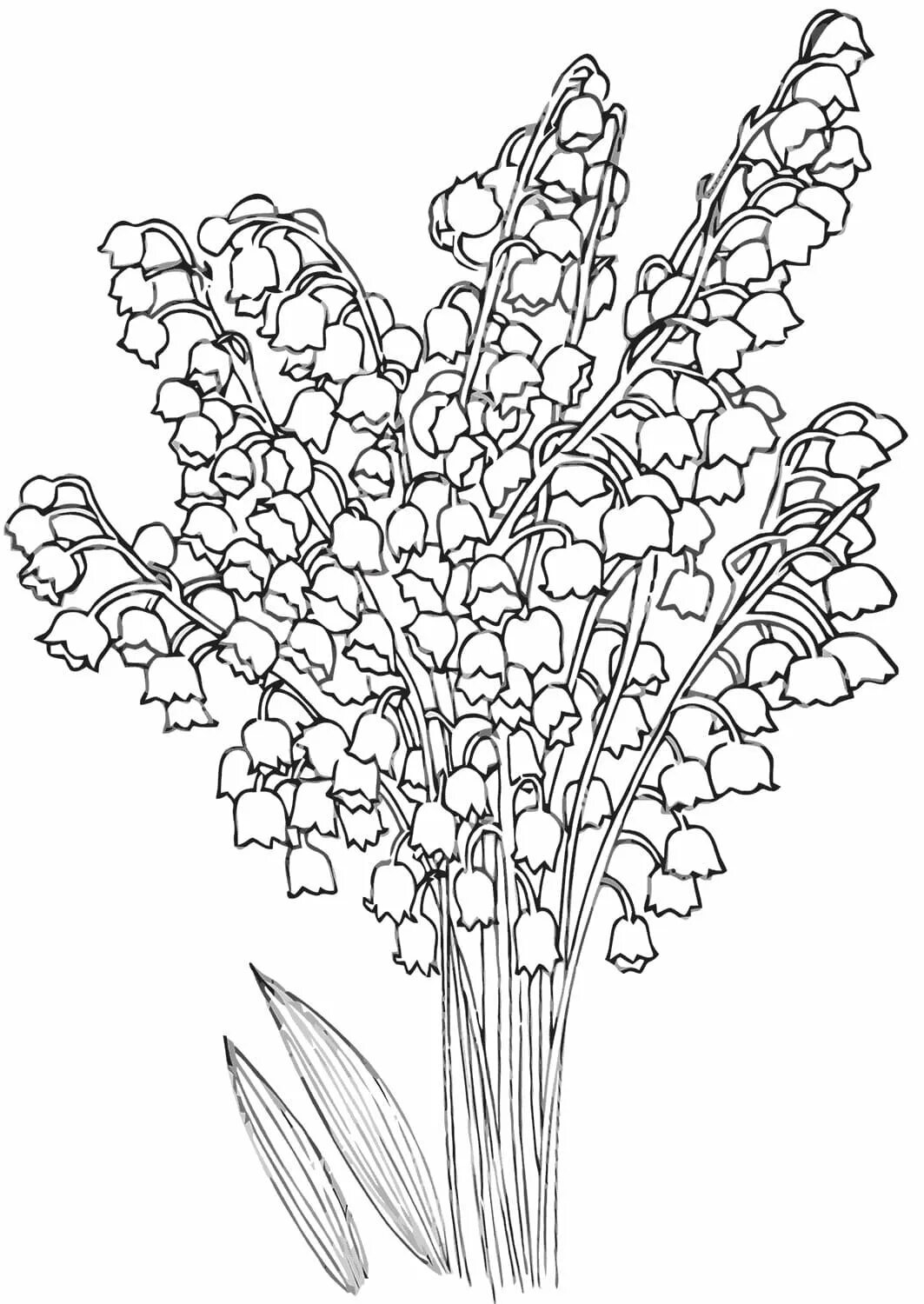 Раскраска цветы Ландыши. Букет рисунок. Букет карандашом. Мимоза и тюльпаны рисунок
